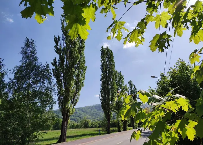 Enduro Przy Szyndzielni I Debowcu דירה *